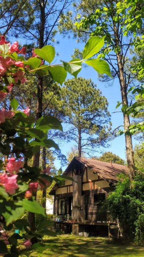 Cabana En Carilo Villa Eksteriør billede